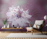 Misty Morning Poster och Canvastavla
