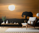Elephant at dawn Poster och Canvastavla