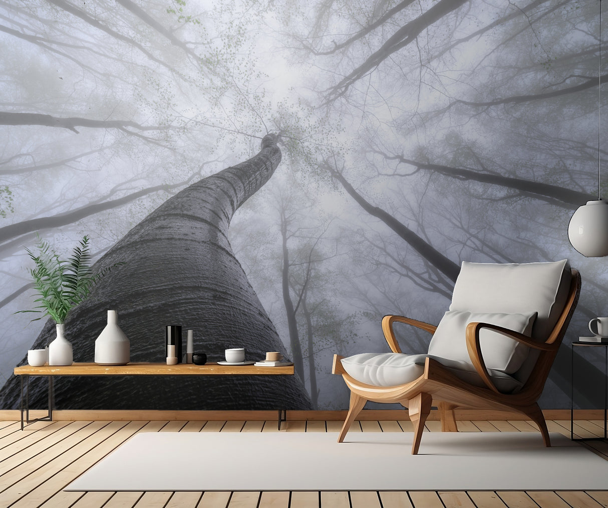 Beech forest Poster och Canvastavla