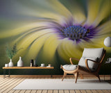 Dancing Daisy Poster och Canvastavla