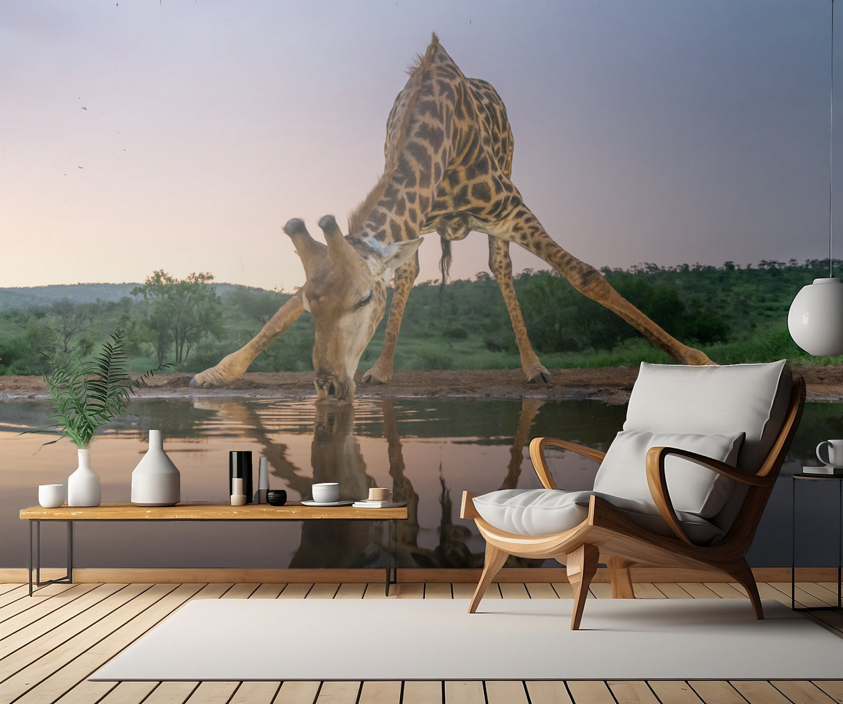 Sunset giraffe drinking Poster och Canvastavla