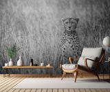 Cheetah Poster och Canvastavla