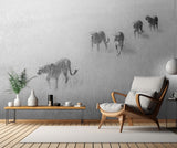 Five Boys Poster och Canvastavla