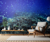 The reef Poster och Canvastavla