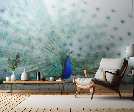 Peacock Poster och Canvastavla