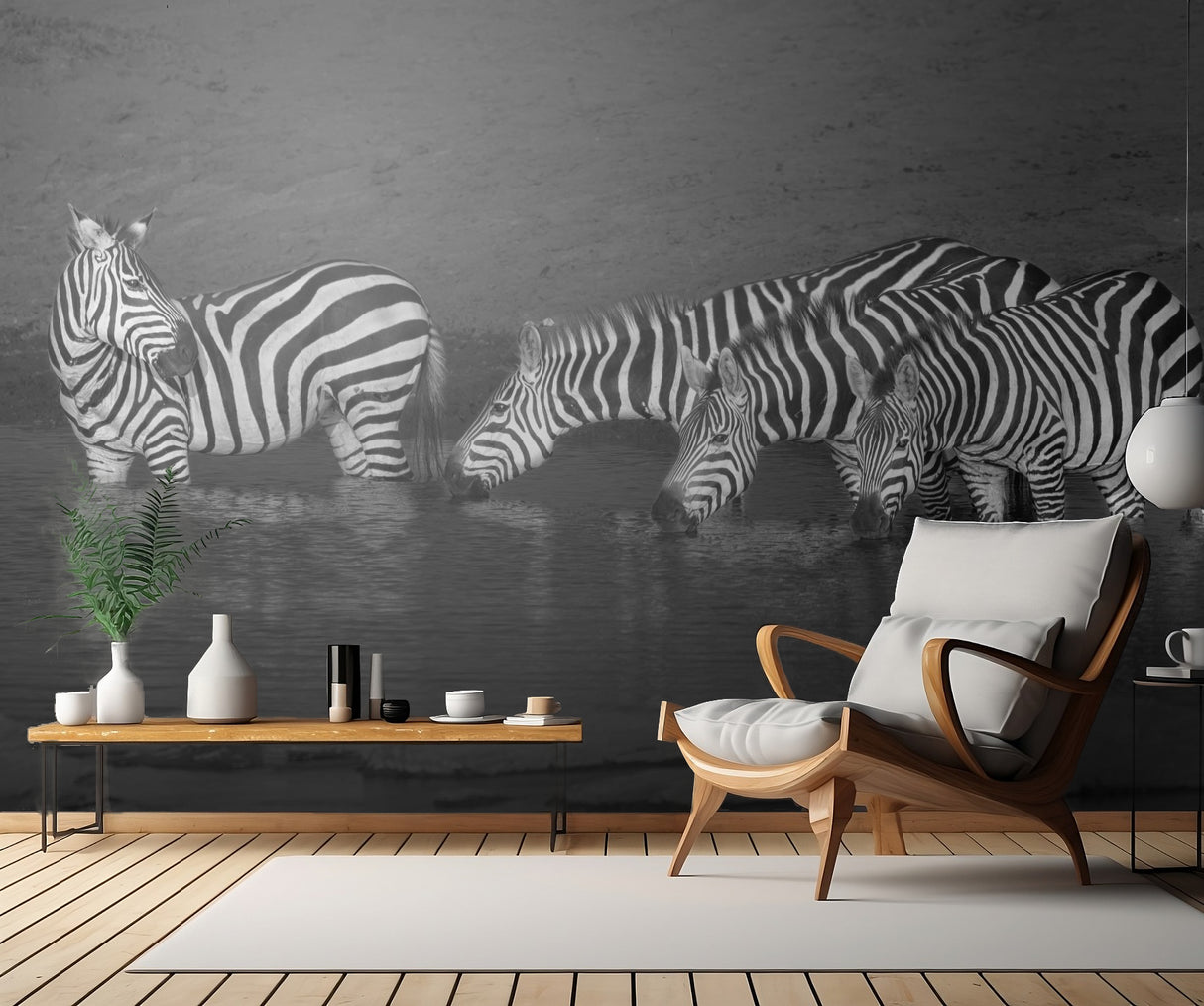 Zebras drinking Poster och Canvastavla