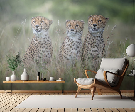 Cheetah cubs Poster och Canvastavla
