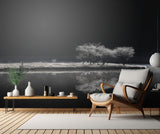 The colorless world Poster och Canvastavla