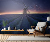Lavender night Poster och Canvastavla