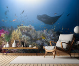 Manta reef on the reef Poster och Canvastavla