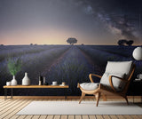 Lavender fields Poster och Canvastavla