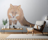 Where is the hare? Poster och Canvastavla
