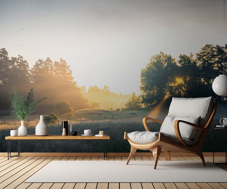 Summer field with sunrays Poster och Canvastavla