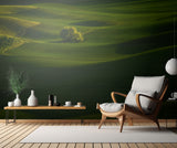 Green wheat Field Poster och Canvastavla