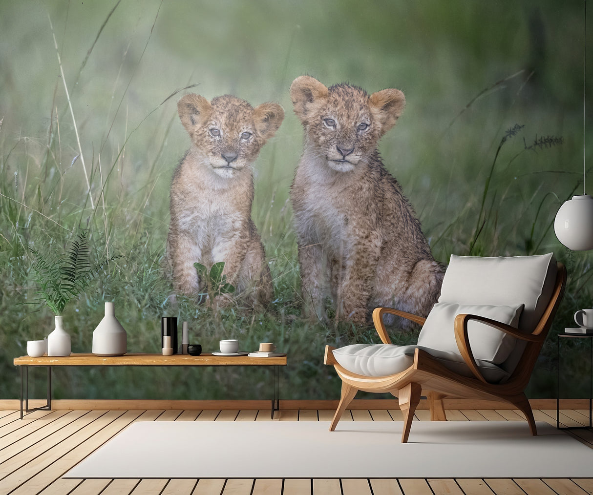 Two rain-soaked lion cubs Poster och Canvastavla