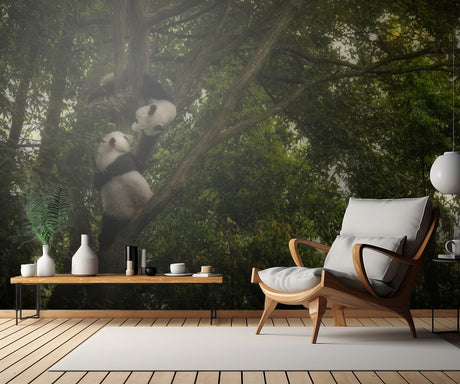 Panda Poster och Canvastavla