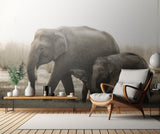 family portrait Poster och Canvastavla