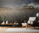Pine Island Poster och Canvastavla