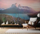Morning in Torres del Paine Poster och Canvastavla