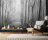 Autumn Mist Poster och Canvastavla