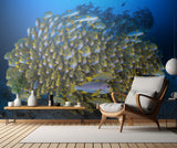 Cape Kri's school of sweetlips Poster och Canvastavla