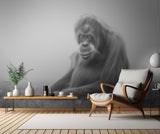 dreamy Poster och Canvastavla