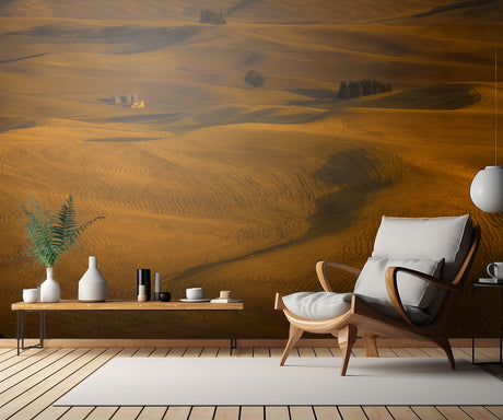 Wheat Field in Sunset Poster och Canvastavla