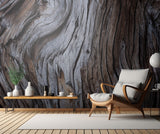 Eucalyptus Texture Poster och Canvastavla