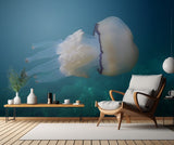 White elegance Poster och Canvastavla