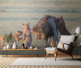 Lion  family Poster och Canvastavla