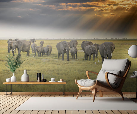 For the love of elephants Poster och Canvastavla