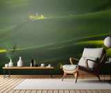 Fields of green Poster och Canvastavla