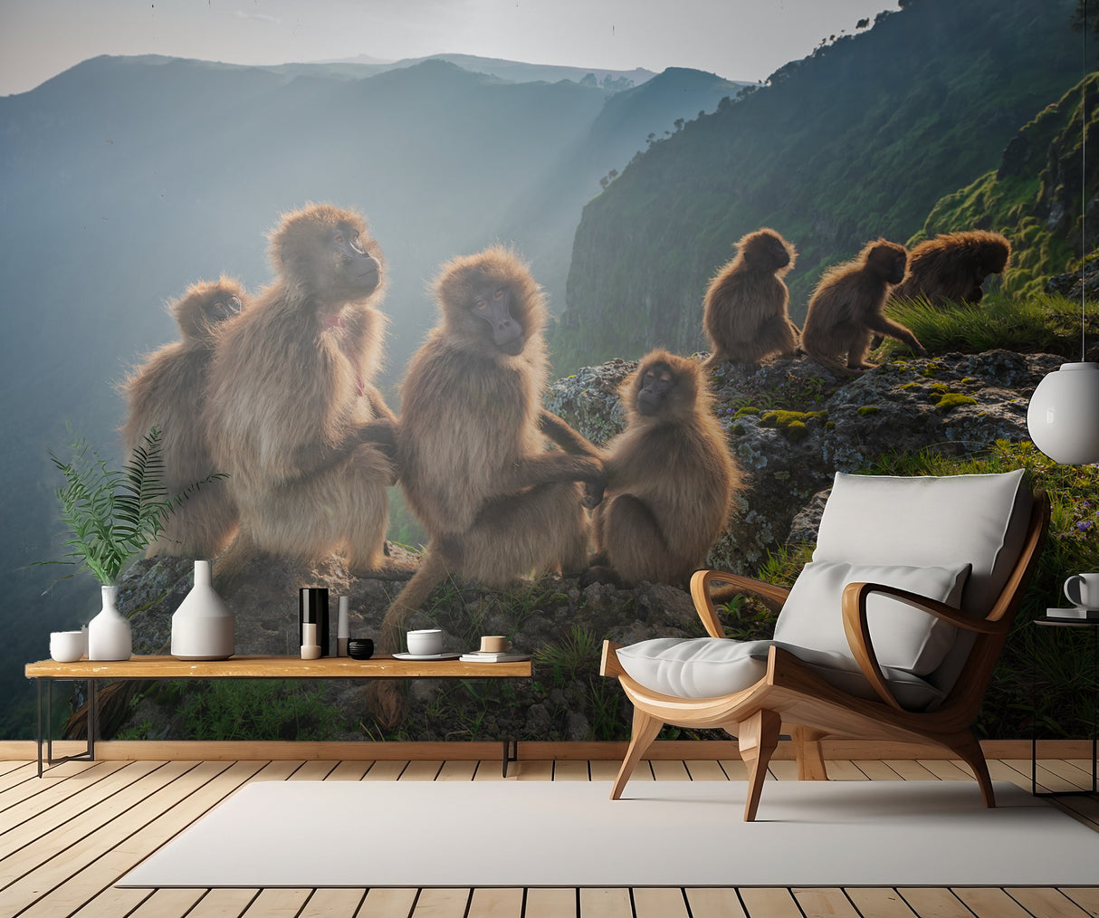 Geladas on the edge Poster och Canvastavla