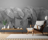 Elephant Flight Poster och Canvastavla