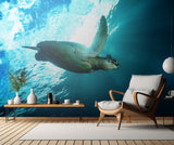 Into the light Poster och Canvastavla