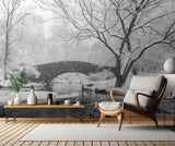 central park snow Poster och Canvastavla