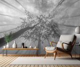 Spring foggy views Poster och Canvastavla