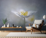 Dreamy Poster och Canvastavla