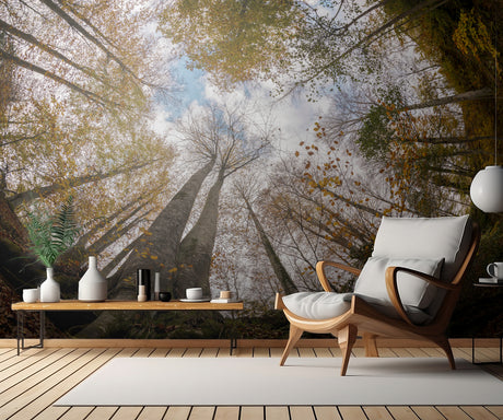 Forest Poster och Canvastavla