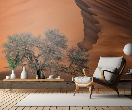 Acacia in the desert Poster och Canvastavla