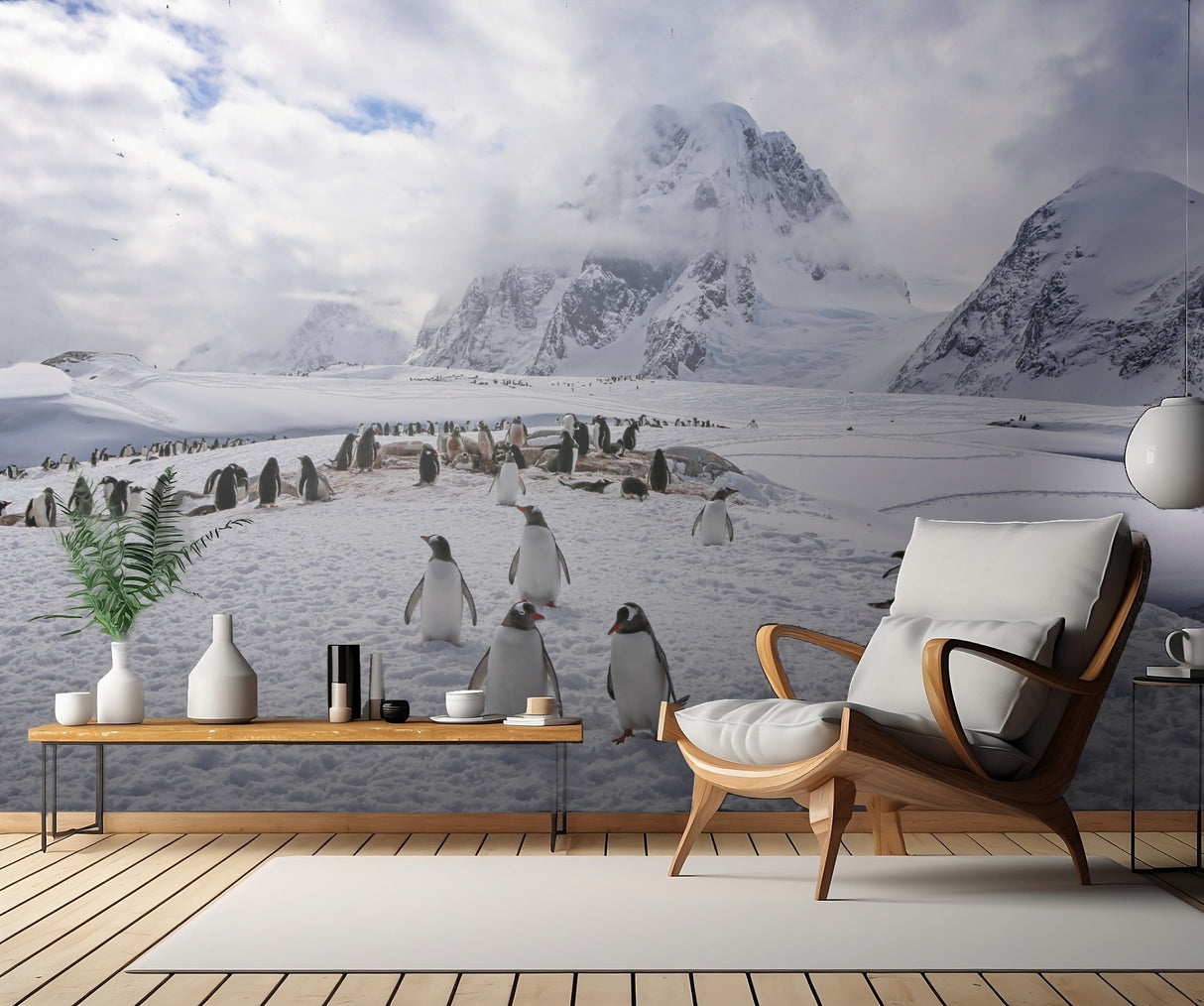 The Penguins Natual Habitat in Antarctica Poster och Canvastavla
