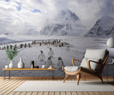 The Penguins Natual Habitat in Antarctica Poster och Canvastavla