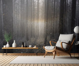 Sun dogs Poster och Canvastavla