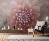 Blush Poster och Canvastavla