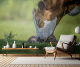 cow deer love Poster och Canvastavla
