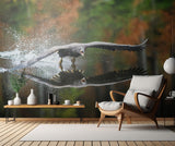 Landing Eagle Poster och Canvastavla