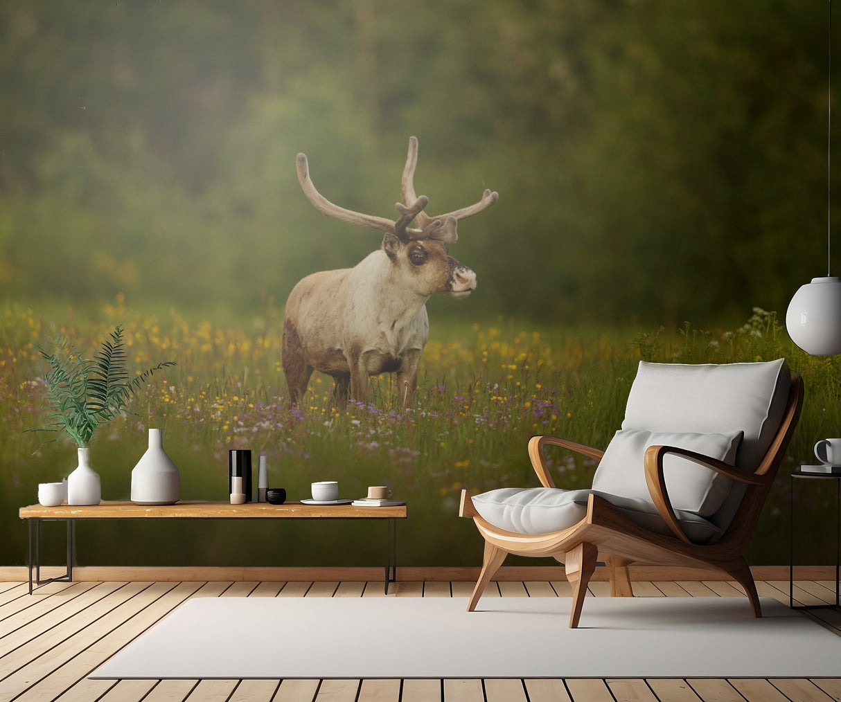 Caribou in grass land Poster och Canvastavla