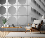 Circles and squares Poster och Canvastavla