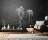 Happy Elephants Poster och Canvastavla