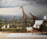 Giraffe Poster och Canvastavla